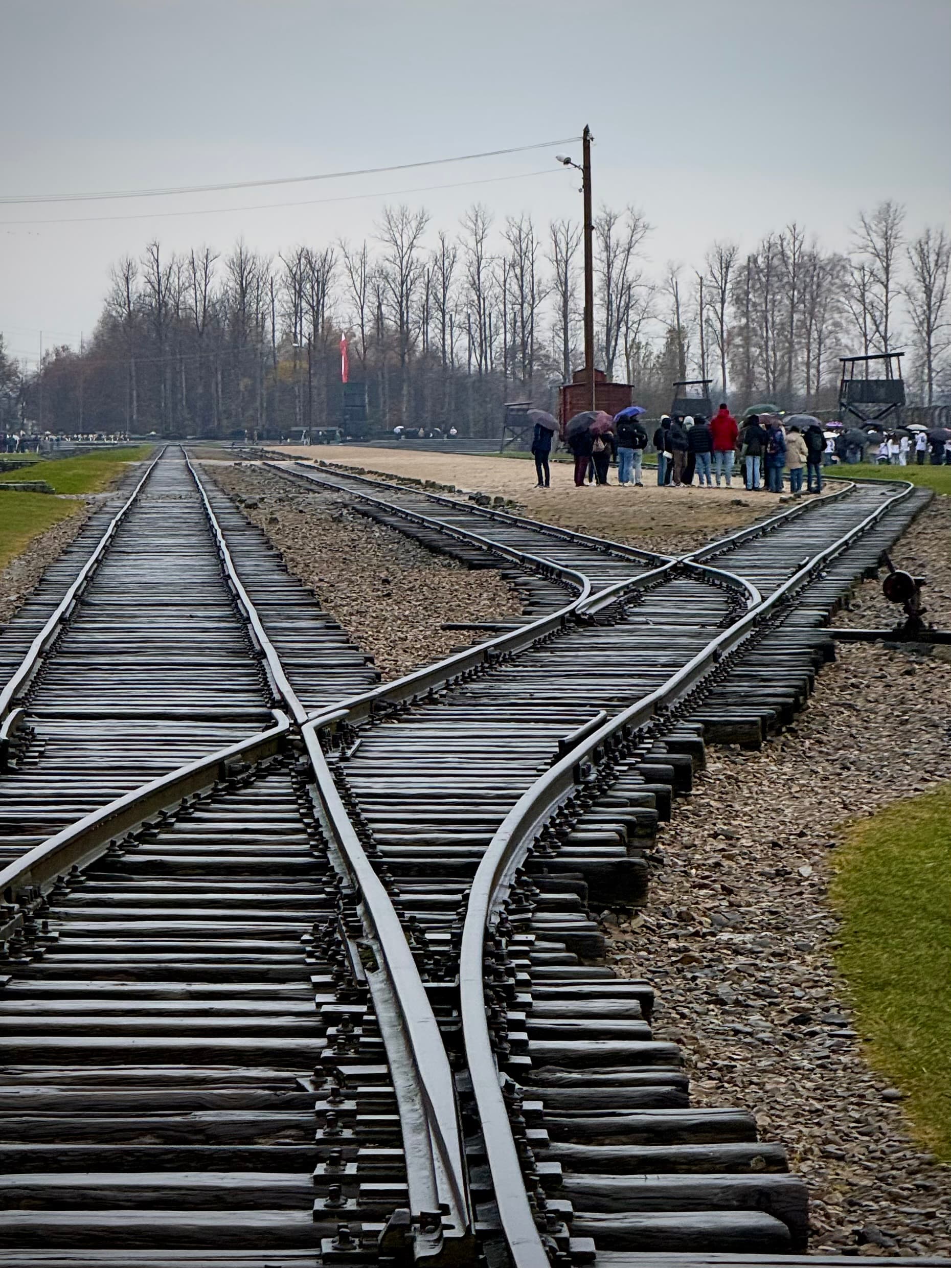 from krakow auschwitz tour