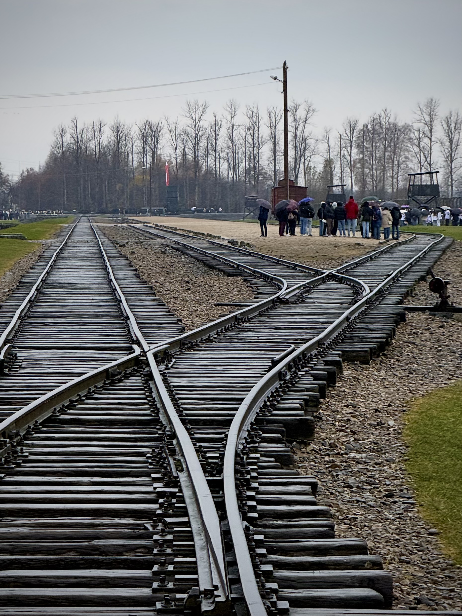 from krakow auschwitz tour