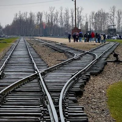 from krakow auschwitz tour