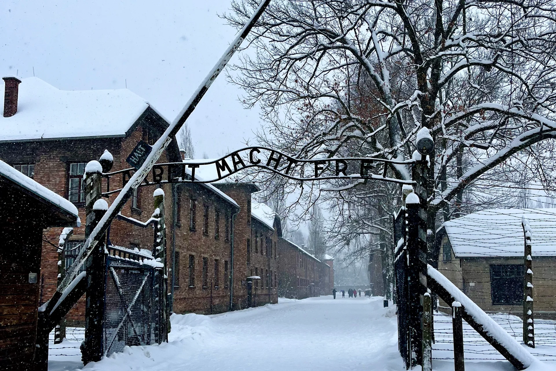 krakow auschwitz birkenau tour